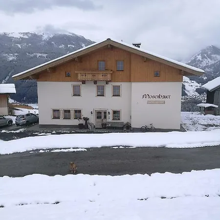 Fichtenholz Appartement