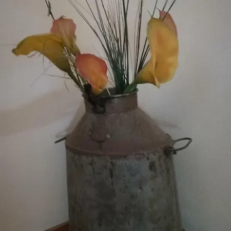 Apartamento Fichtenholz *