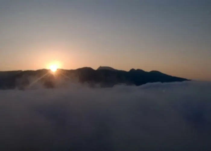 Fichtenholz Mittersill